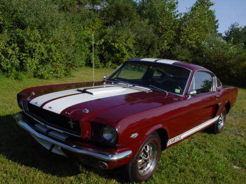 1965 ford mustang 2+2 fastback 289 manual with shelby g.t. 350 trim