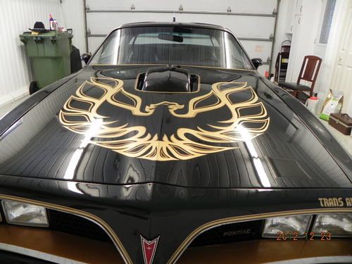 Trans am 1977 bandit