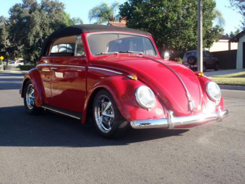1961 beetle convertible &#034;show bug&#034;