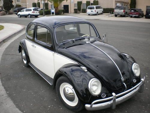 1960 vw beetle,36hp,6 volts,type 1, model 111, de luxe