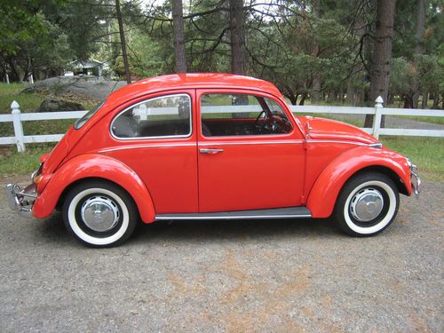 1967 vw beetle , bug