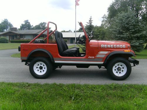 Sell used 1979 JEEP CJ7 RENEGADE in Clarence, New York ...