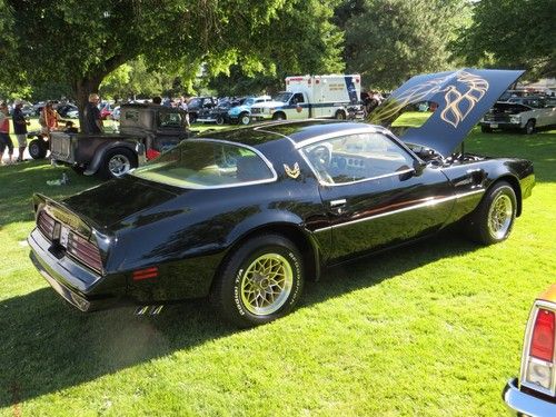 1978 pontiac trans am with the rare ws6 special performance package