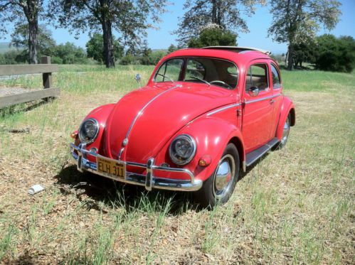 Classic 1957 volkswagen beetle, bug, oval window,  sunroof model, ragtop