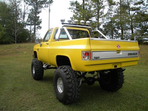 Buy new 1987 CHEVY 4X4 TRUCK 14" LIFT in Nauvoo, Alabama ...