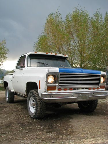 1976 chevy step side truck