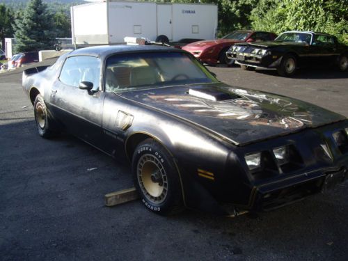 1981 firebird trans am 4 speed  t /top y84 special edition 1 of 932  86,929 mile