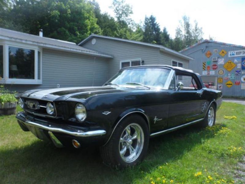 ford mustang for sale usa ford mustang for sale find or sell used cars trucks ford mustang for sale usa ford mustang for sale find or sell used cars trucks