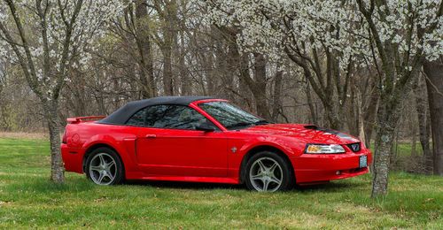 1999 ford mustang gt convertible 4.6l st. louis cardinals stan musial showroom!!