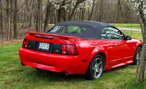 Sell used 1999 Ford Mustang GT Convertible 4.6L St. Louis ... Sell used 1999 Ford Mustang GT Convertible 4.6L St. Louis ...