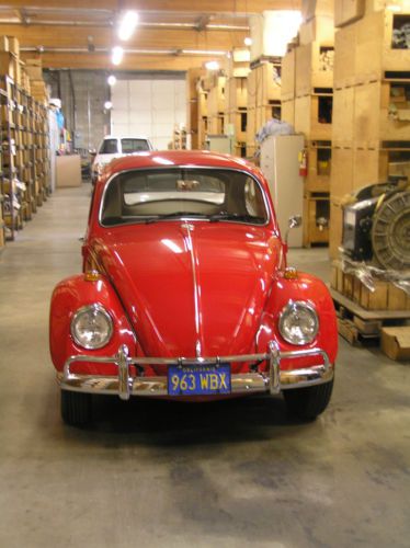 1967 volkswagen beetle