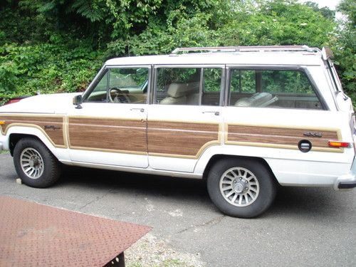 1991 jeep grand wagoneer (final edition)