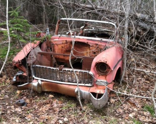 1955 chevrolet convertible project.  w/title