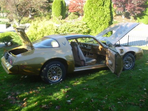 1978 pontiac trans am y88 numbers matching, running, driving car!