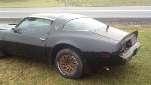 1980 trans am bandit**special edition y84***same as 1979