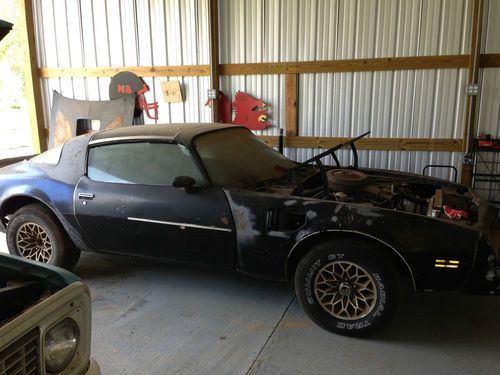 Bandit t/a project t-top good condition new engine