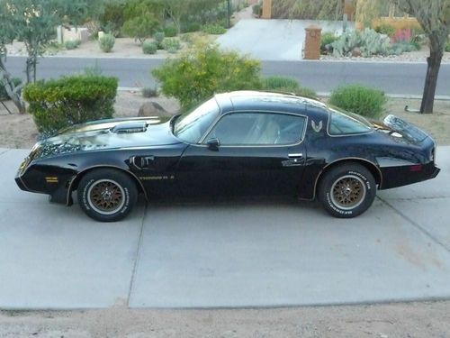 1979 pontiac trans am black on tan hp 455, t-top