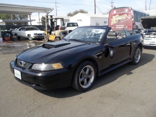2001 ford mustang, no reserve