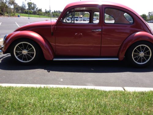 1964 vw beetle