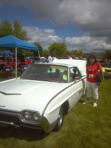 1963 thunderbird, show winning stock thunderbird. rebuilt 390, auto, nice