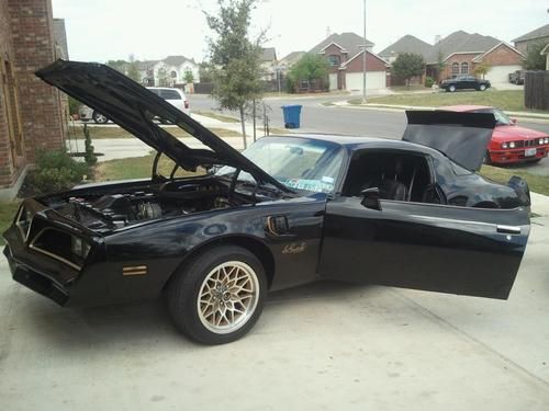 1977 trans am pontiac firebird, pro-mod, hot rod, muscle car, hotrod