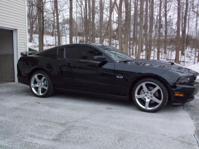 2011 - ford mustang