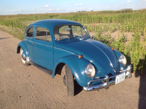 Find used 1964 VW Bug in Buxton, North Dakota, United States