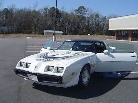 1981 trans am nascar daytona pace car