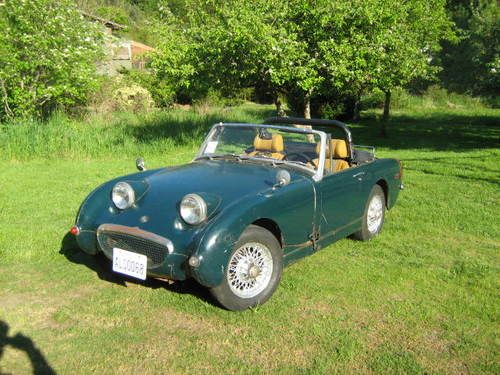 '73 mg midget w/ bugeye nose