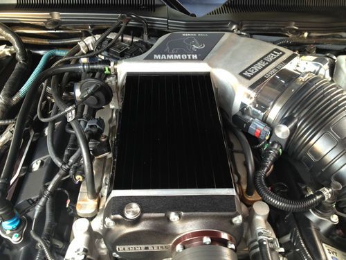 Super Snake For Sale >> Buy used 2009 Shelby GT500 Super Snake Clone 800+hp Kenne Bell Supercharger & much more in San ... Super Snake For Sale >> Buy used 2009 Shelby GT500 Super Snake Clone 800+hp Kenne Bell Supercharger & much more in San ...