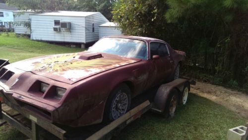 1979 pontiac firebird trans am