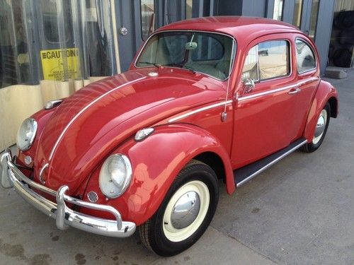 Exquisite '64 vw beetle