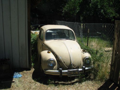 1969 vw bug project car or parts