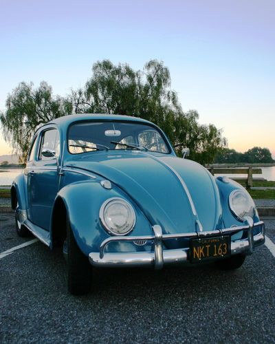 1963 vw beetle - all original california car - unrestored - nr