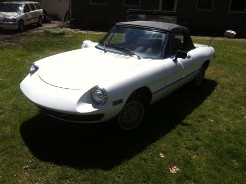 1978 alfa romeo spider