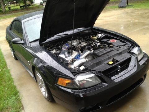 1999 ford mustang svt cobra coupe 2-door 4.6l