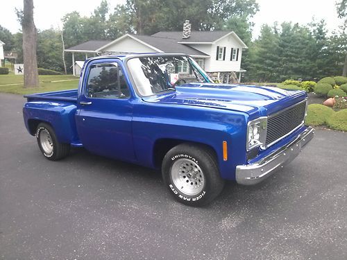 1976 one bad chevy truck