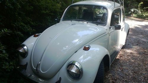 1969 volkswagon bettle - classic bug