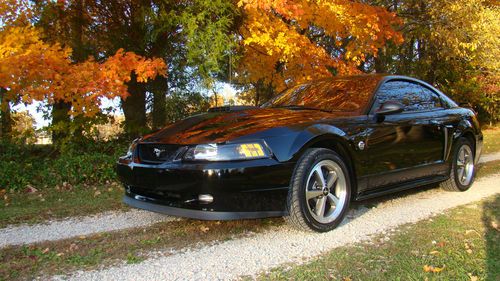 2004 mustang mach 1  21k miles super clean