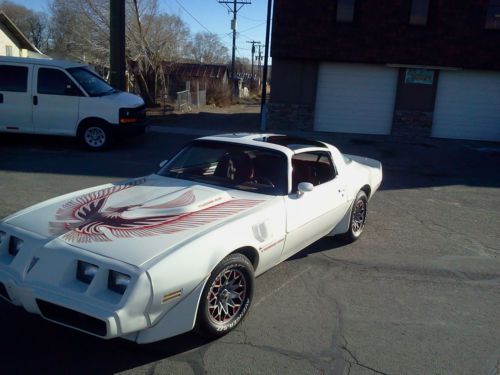 1981 trans am turbo firebird pontiac (rare! tight!) t-tops low miles &amp; delivery