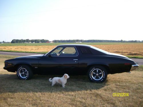 1973 Pontiac Grand Am, Black, 2 door, Rare, US $15,777.77, image 4