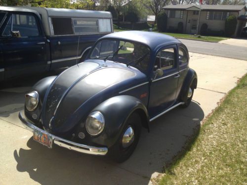 1964 vw bug