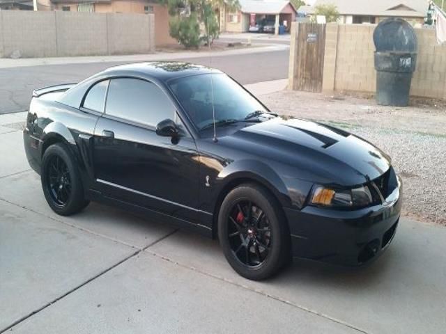 Ford: mustang cobra