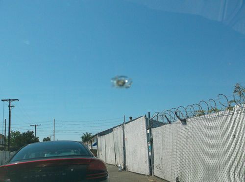 1995 Nissan Maxima, NO RESERVE, image 7