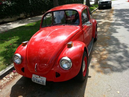 Red beetle