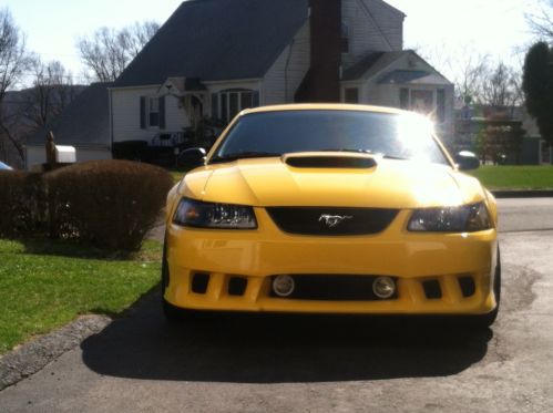 1999 mustang gt low miles