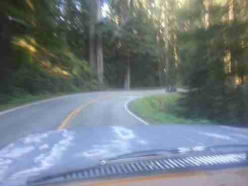 1988 V20 3/4 TON 2WD SUBURBAN, Big Block 454, image 15