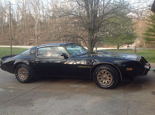 1979 y84 special edition trans am