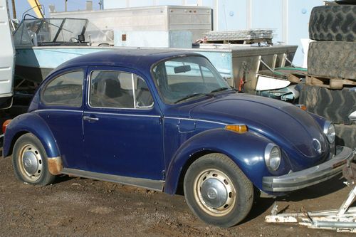 Classic beetle