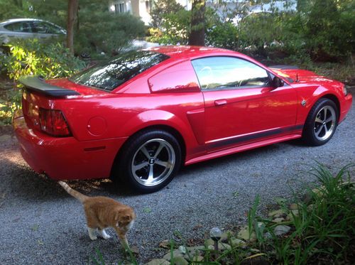 Ford mustang 04 mach 1 5 speed leather vortech supercharger kooks headers